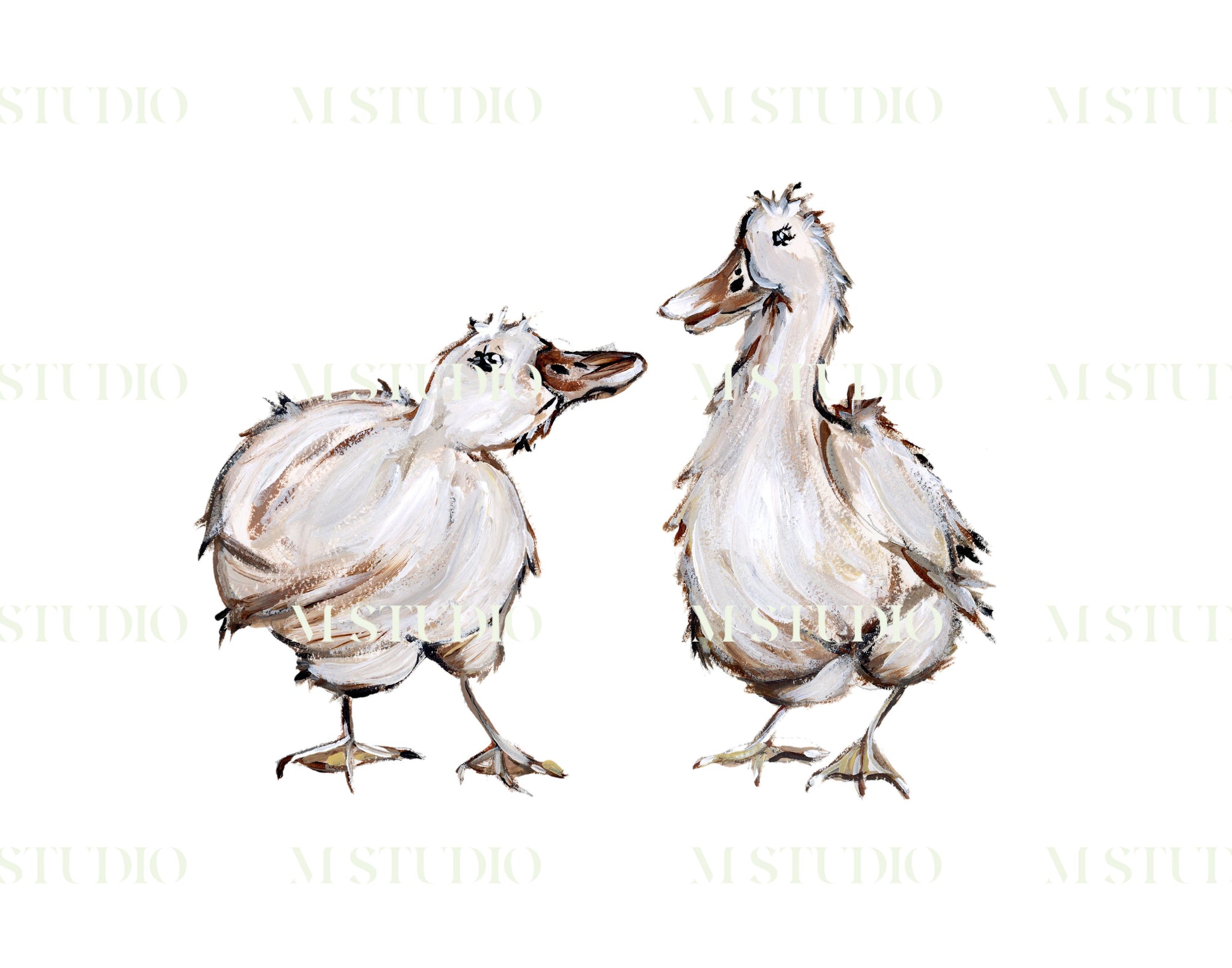 Ducks