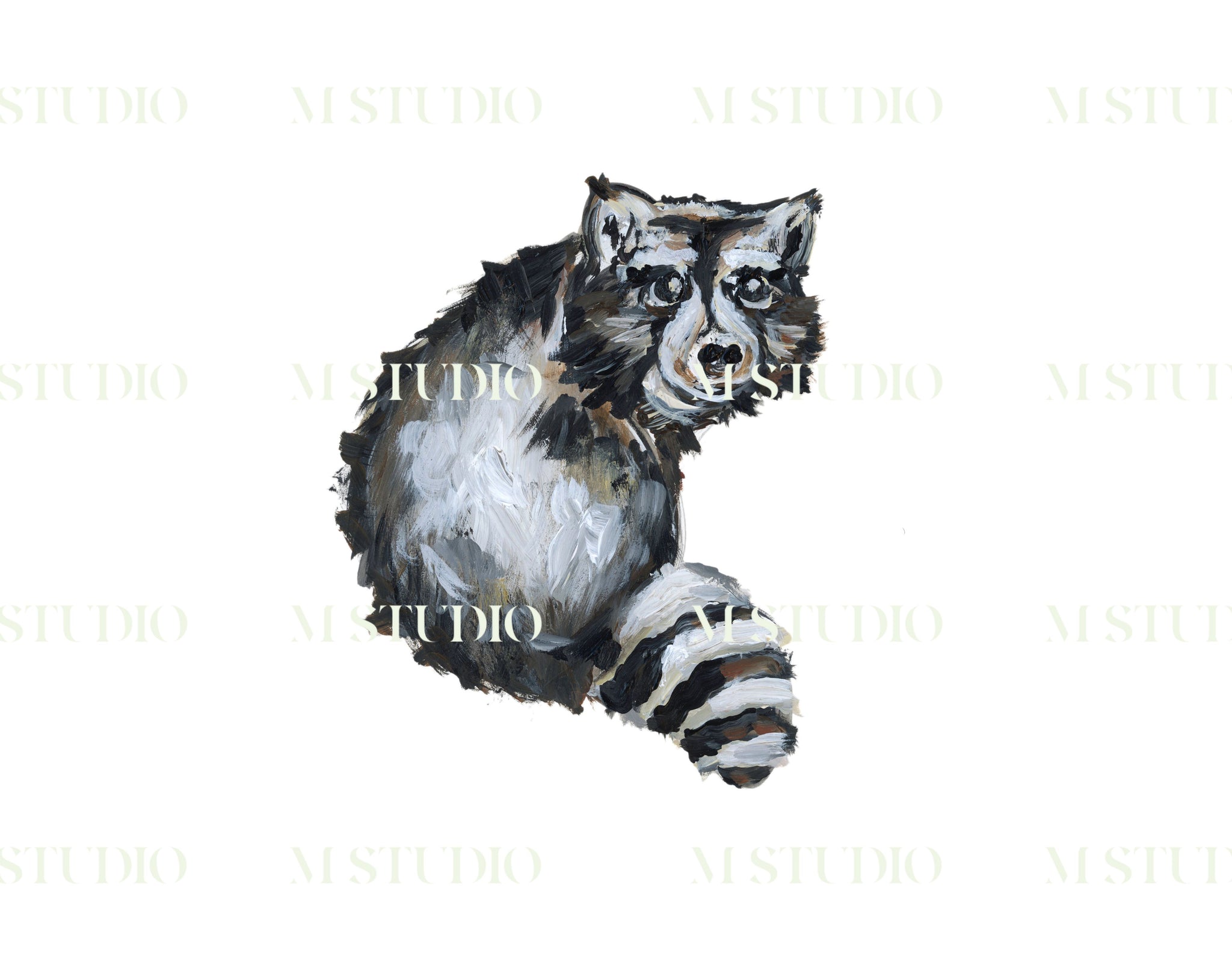 Rocky Raccoon