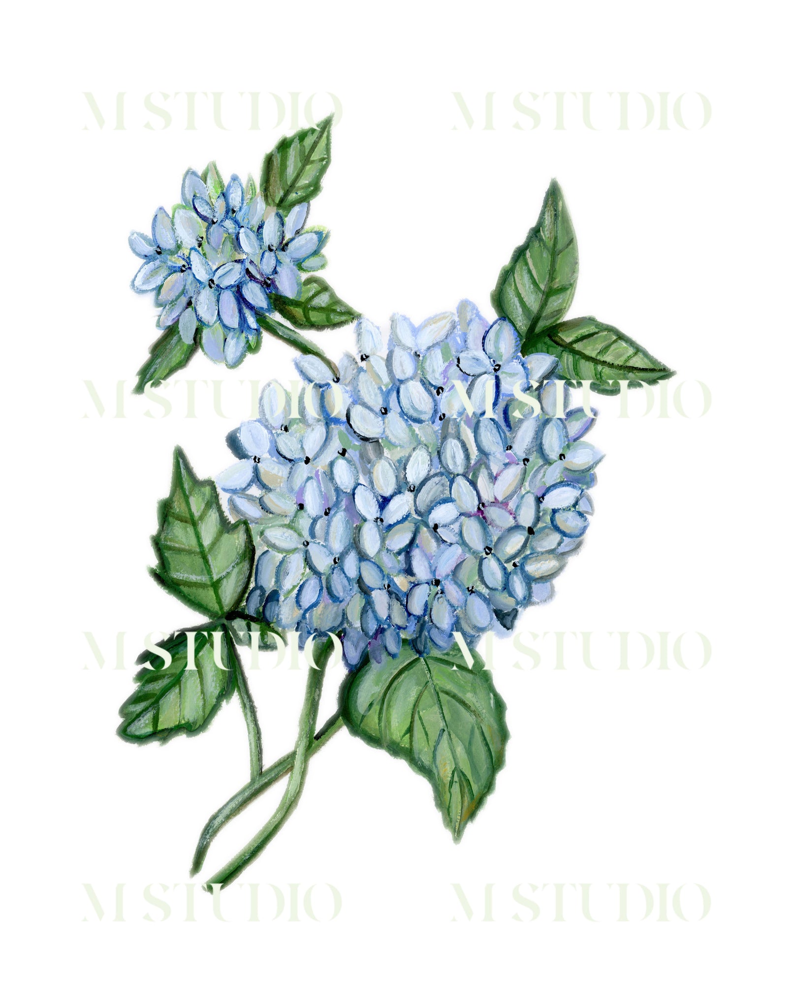 Blue Hydrangea II