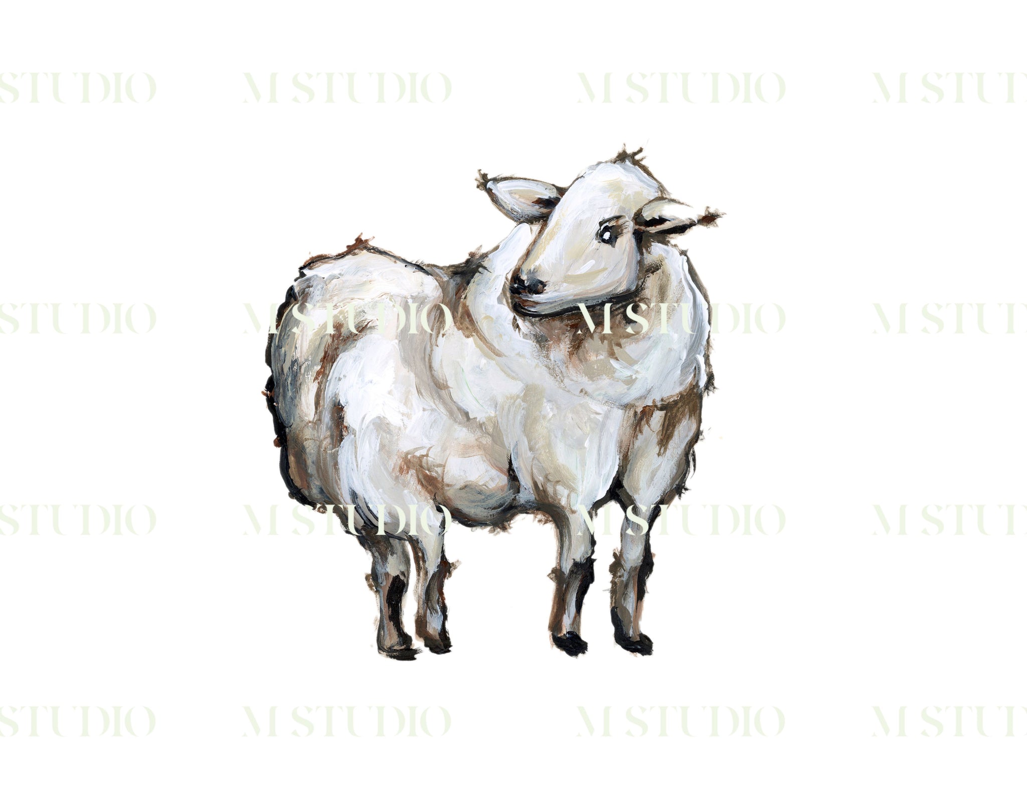 Sheep