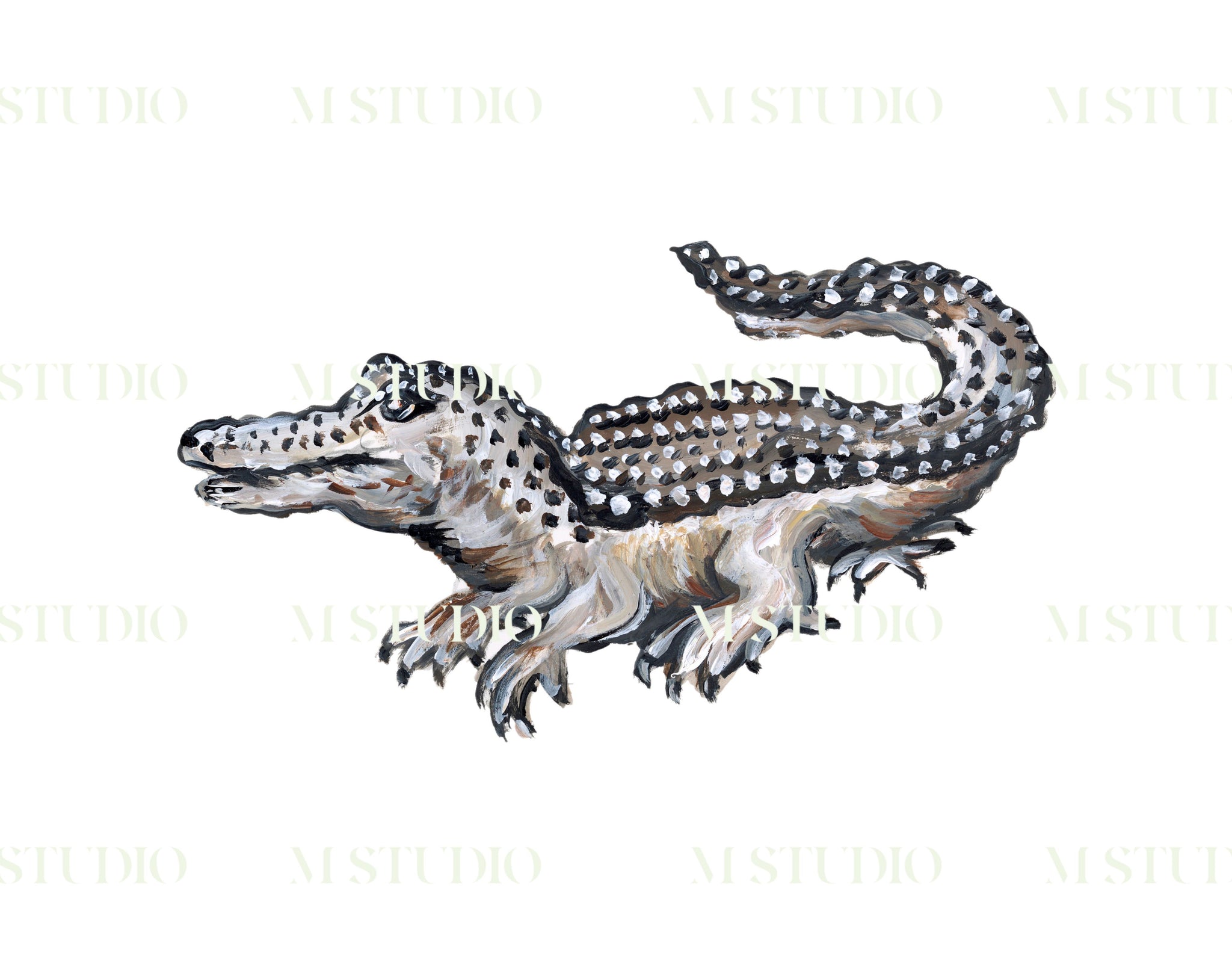 Alligator