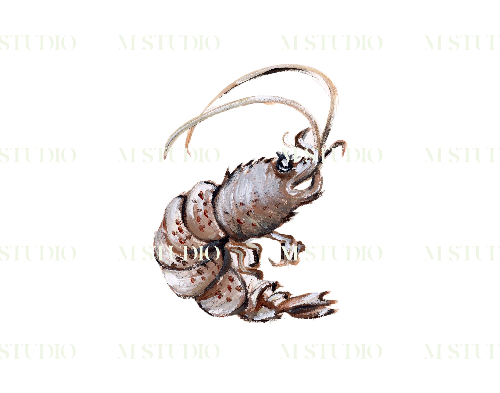 Shrimpie