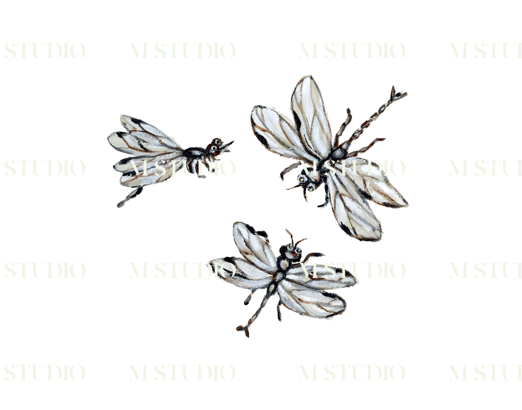 Dragon Flies