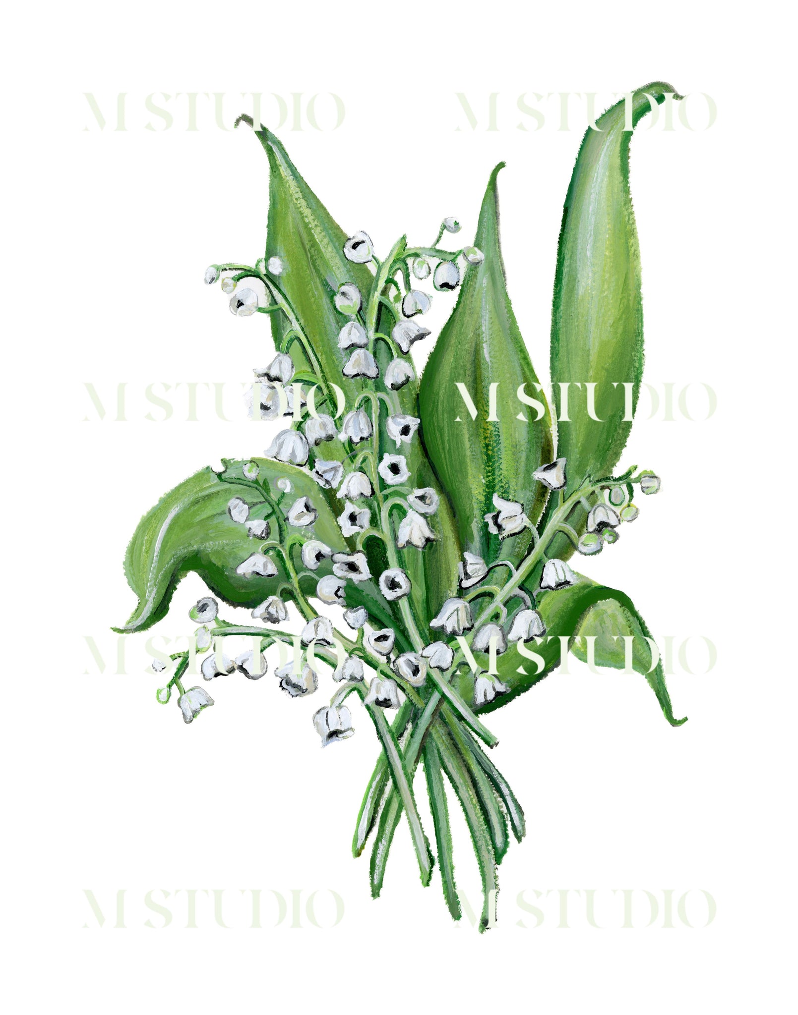 Lily of the Valley