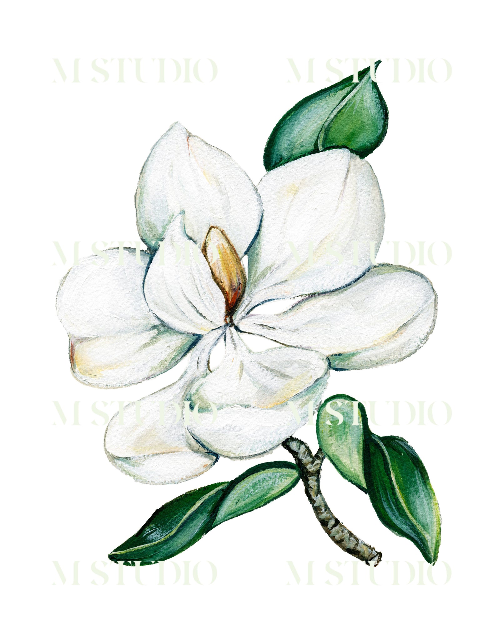 Magnolia III