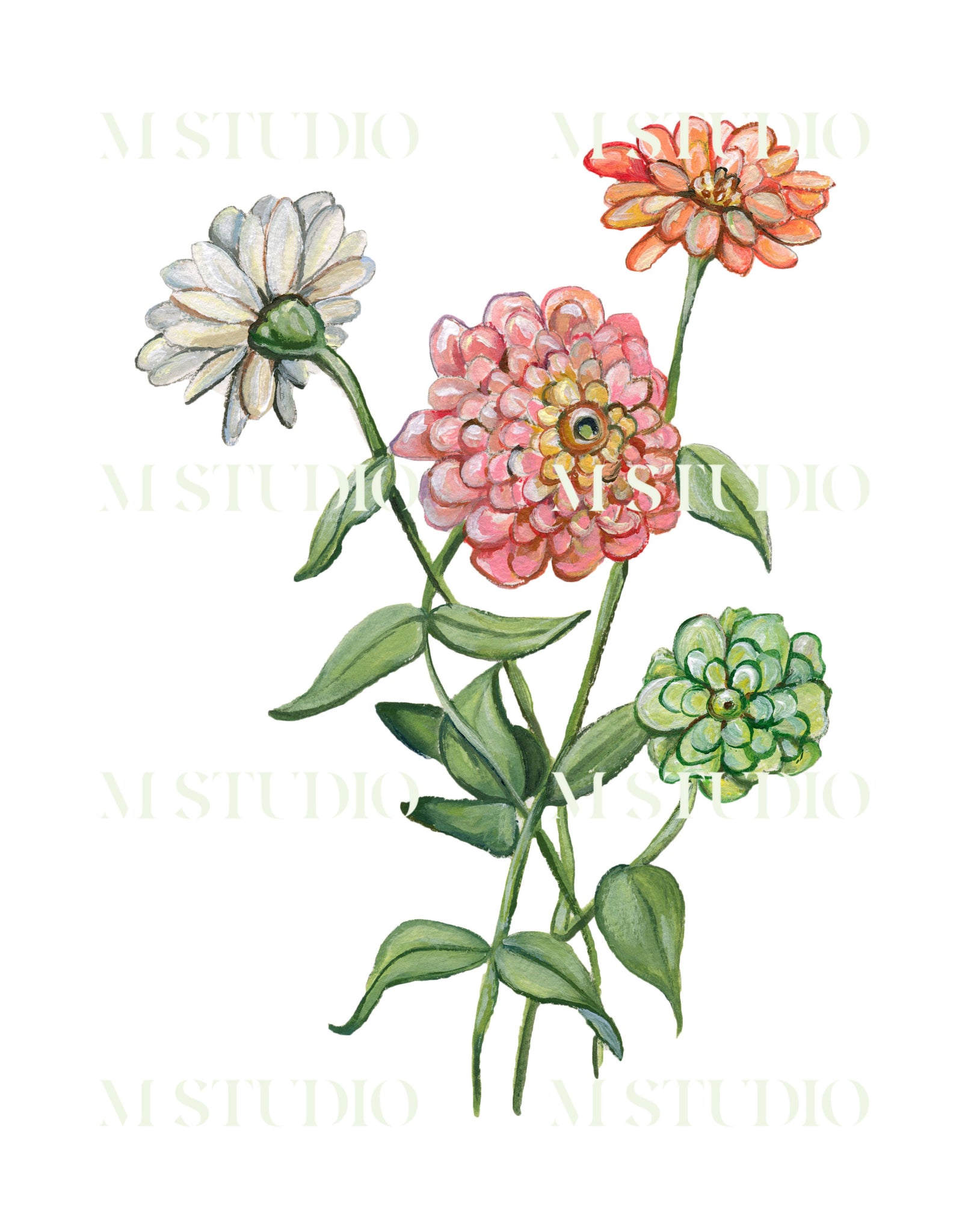 Zinnias