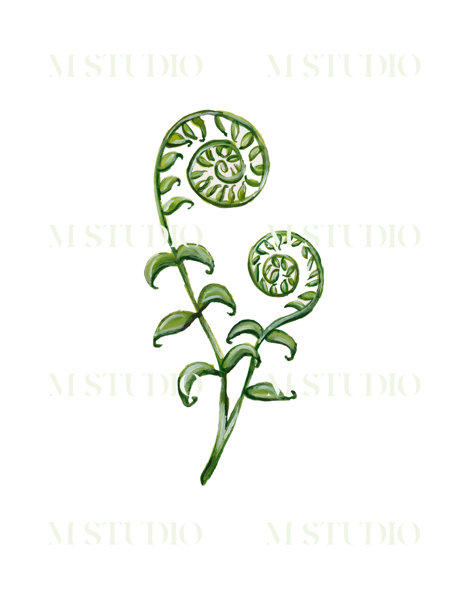 Fiddlehead Fern