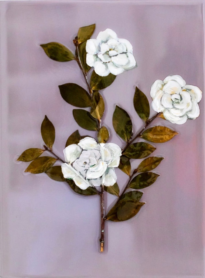 Nuccio's Gem Camellias