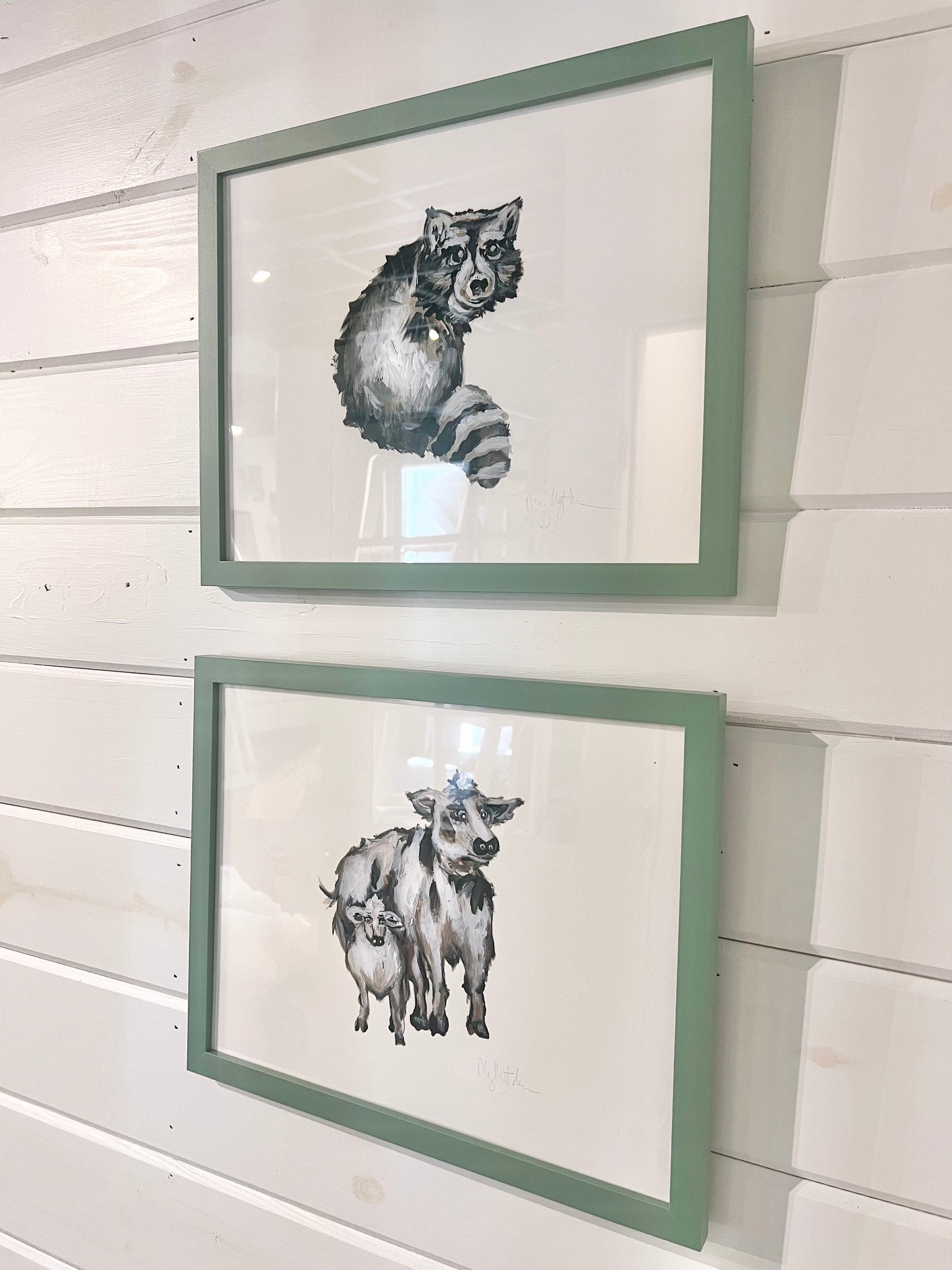 Cows