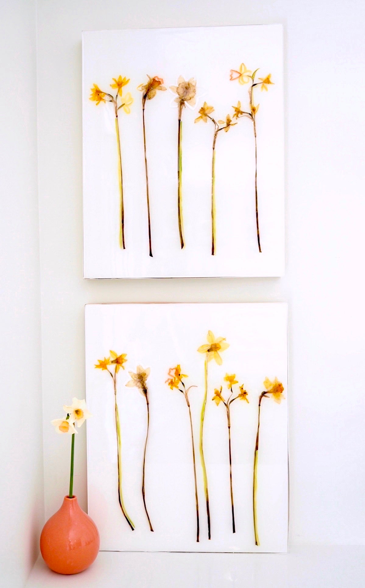 Daffodil Study II