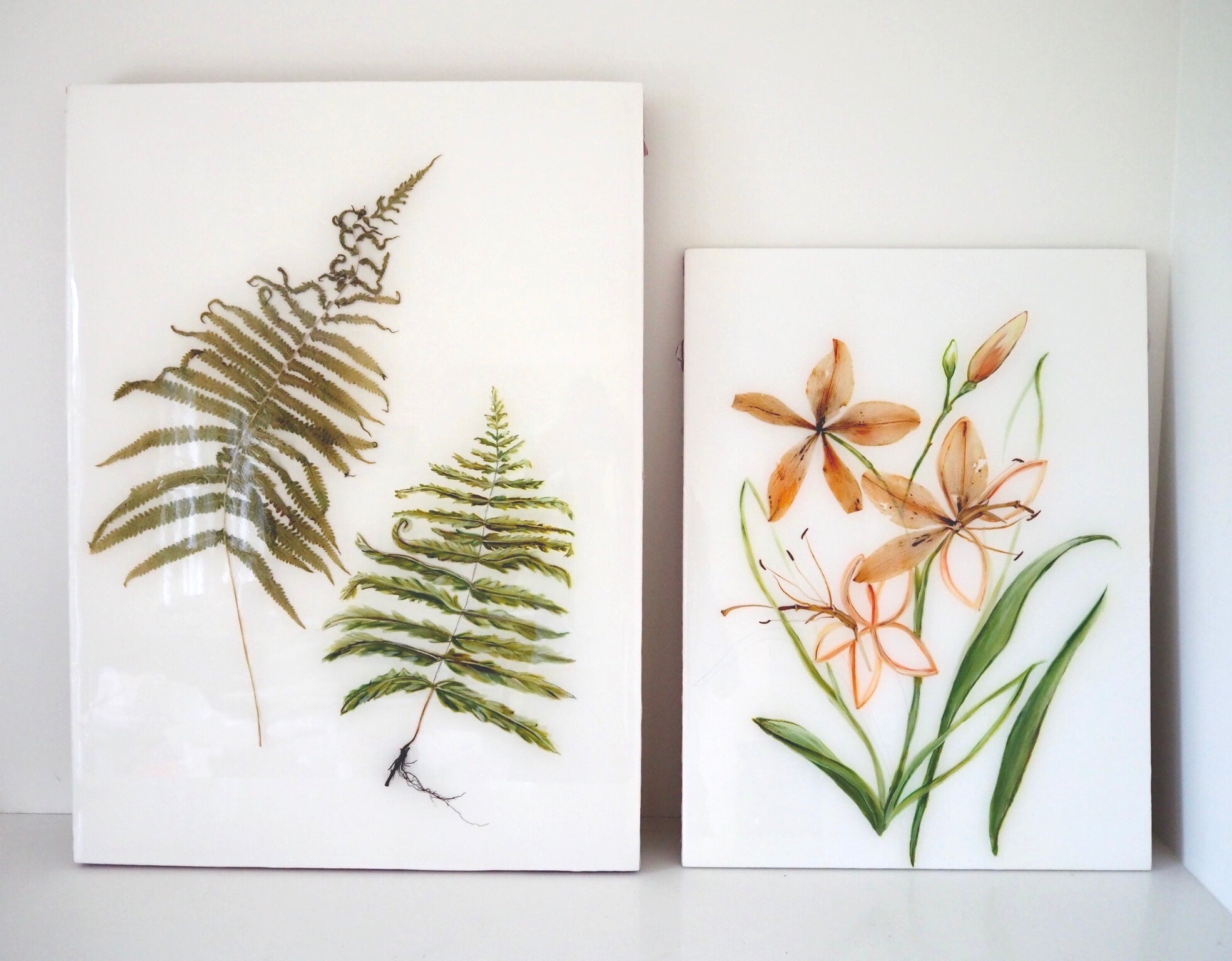 Fern Study I