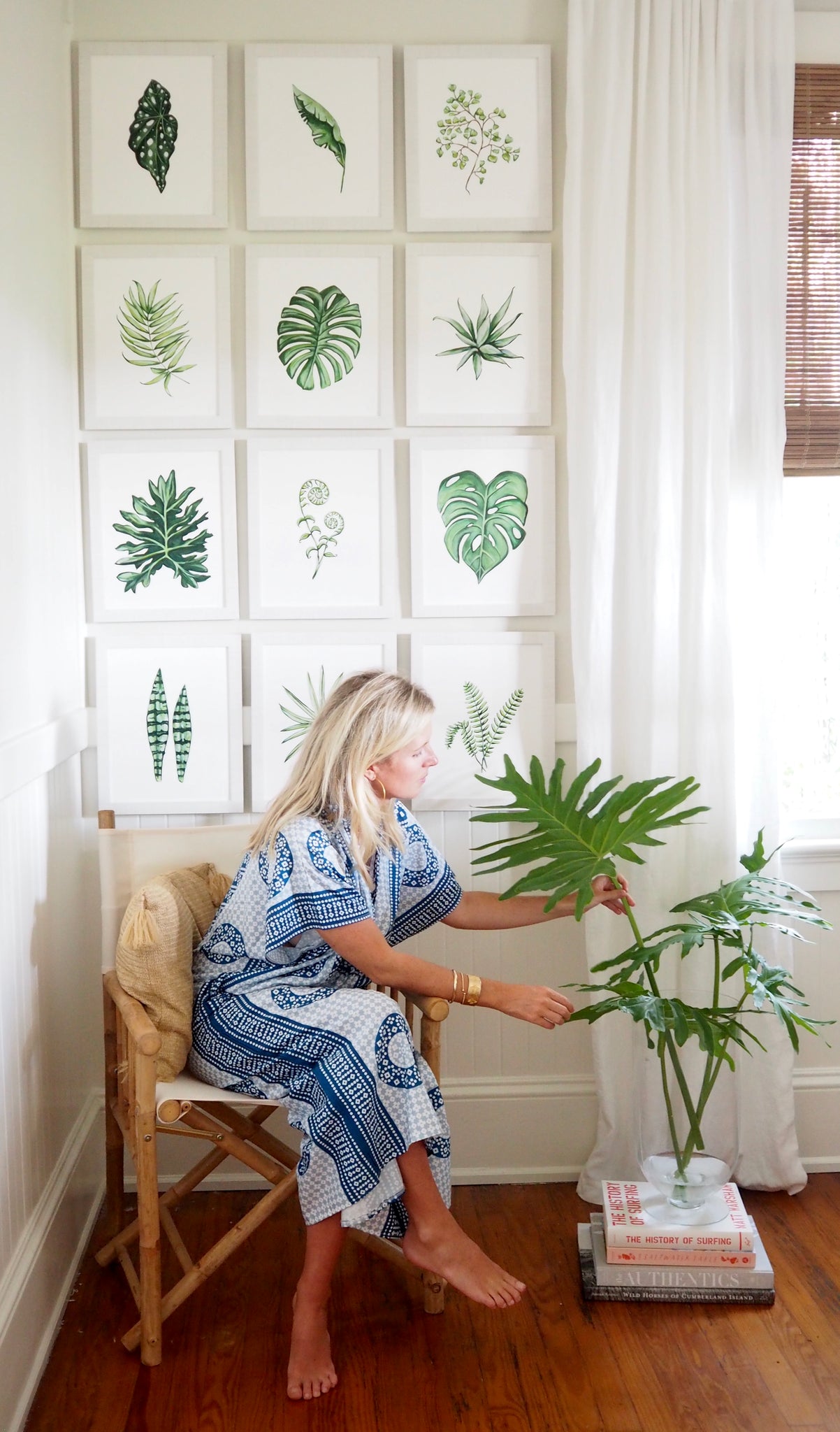 Philodendron