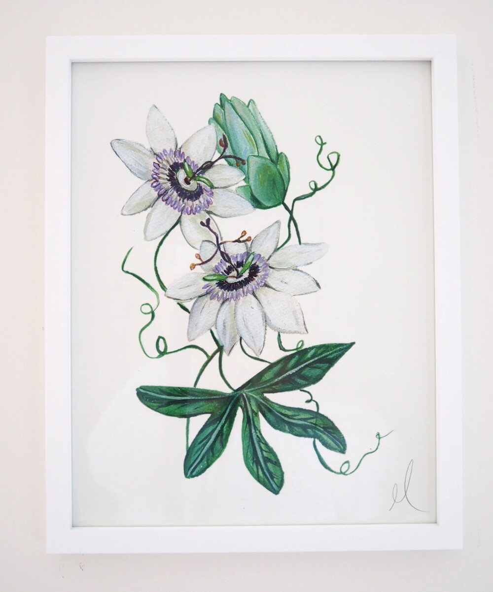 Passion Flower
