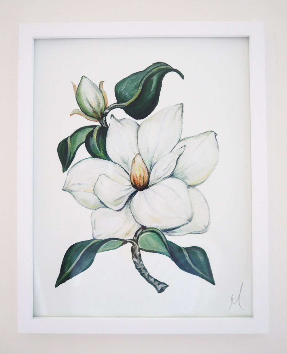 Magnolia I