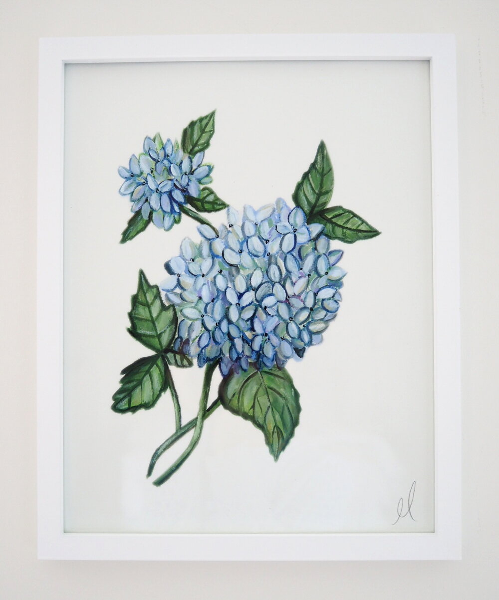 Blue Hydrangea II