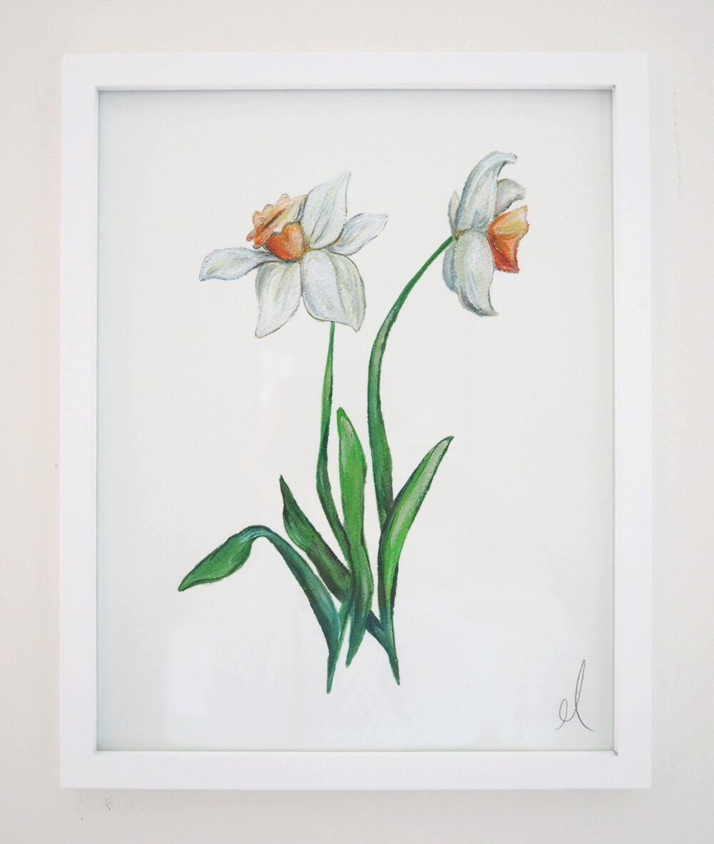 Daffodil I