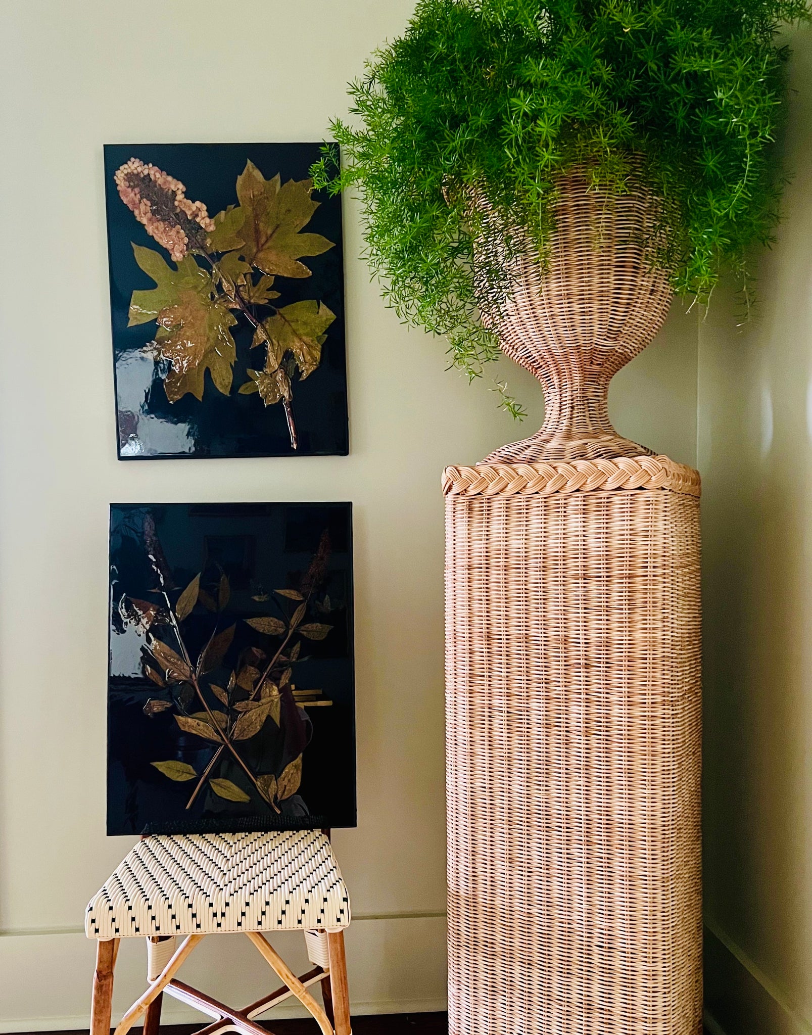 Oak Leaf Hydrangea