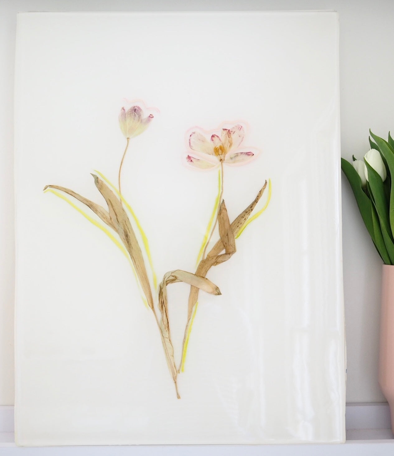 Pink Tulip Study I