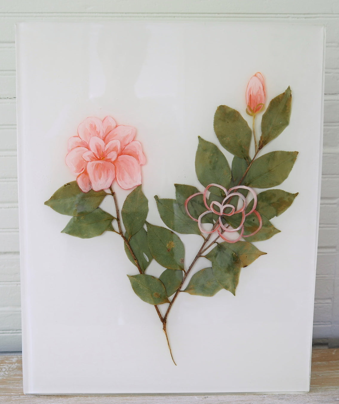 Camellia Study II