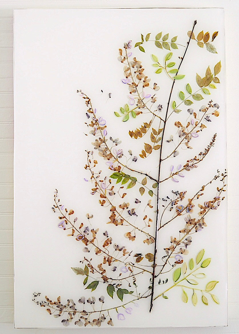 Wisteria Study I