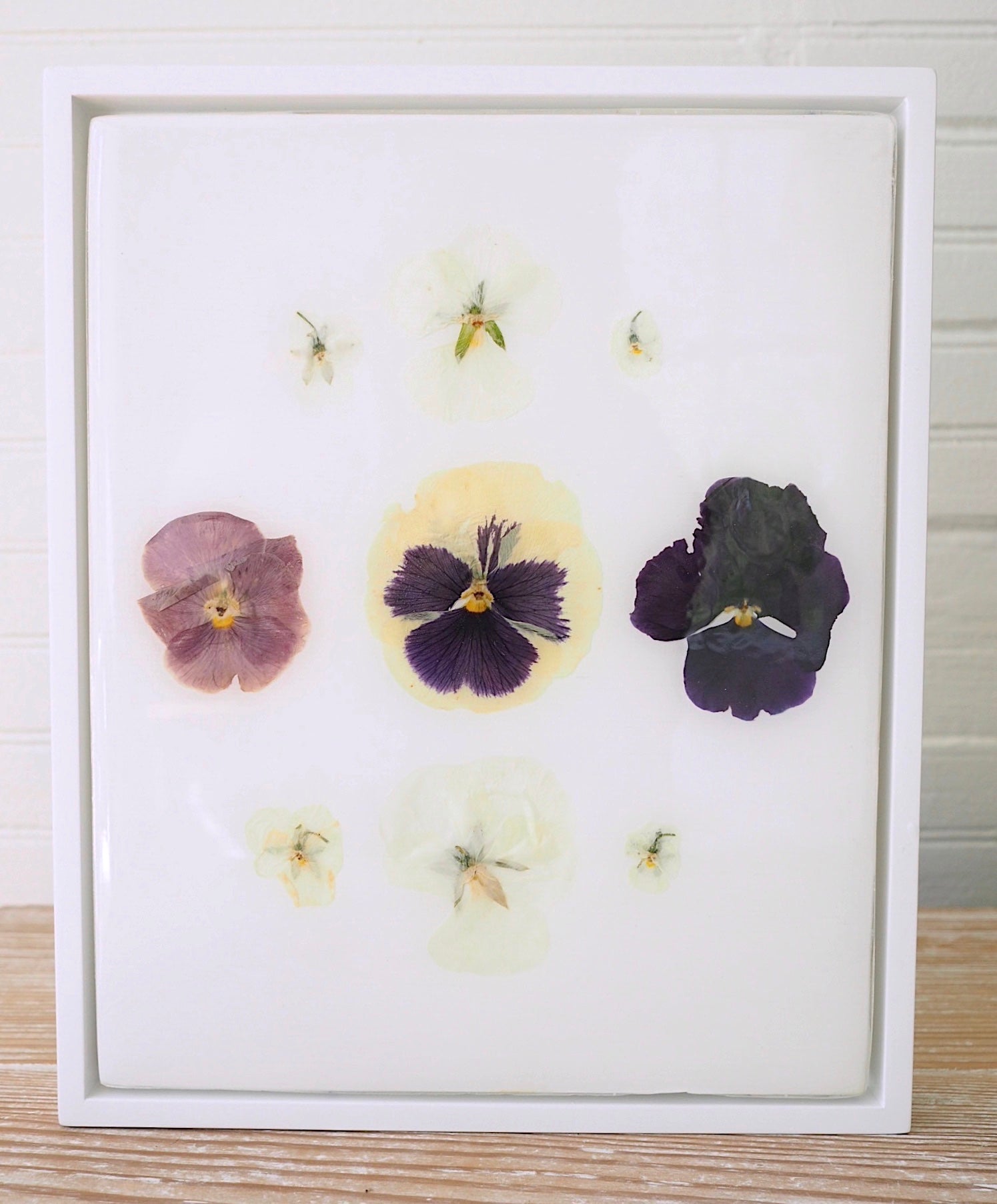 Pansy Study IV