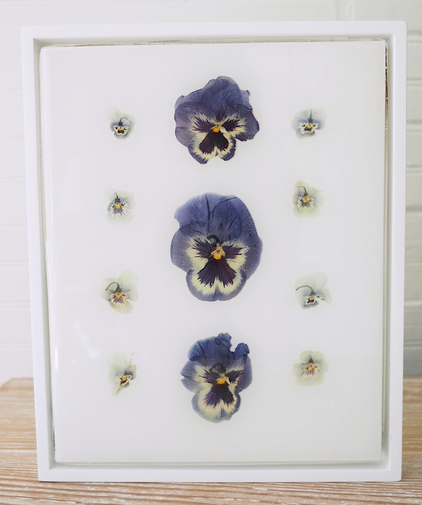 Pansy Study V