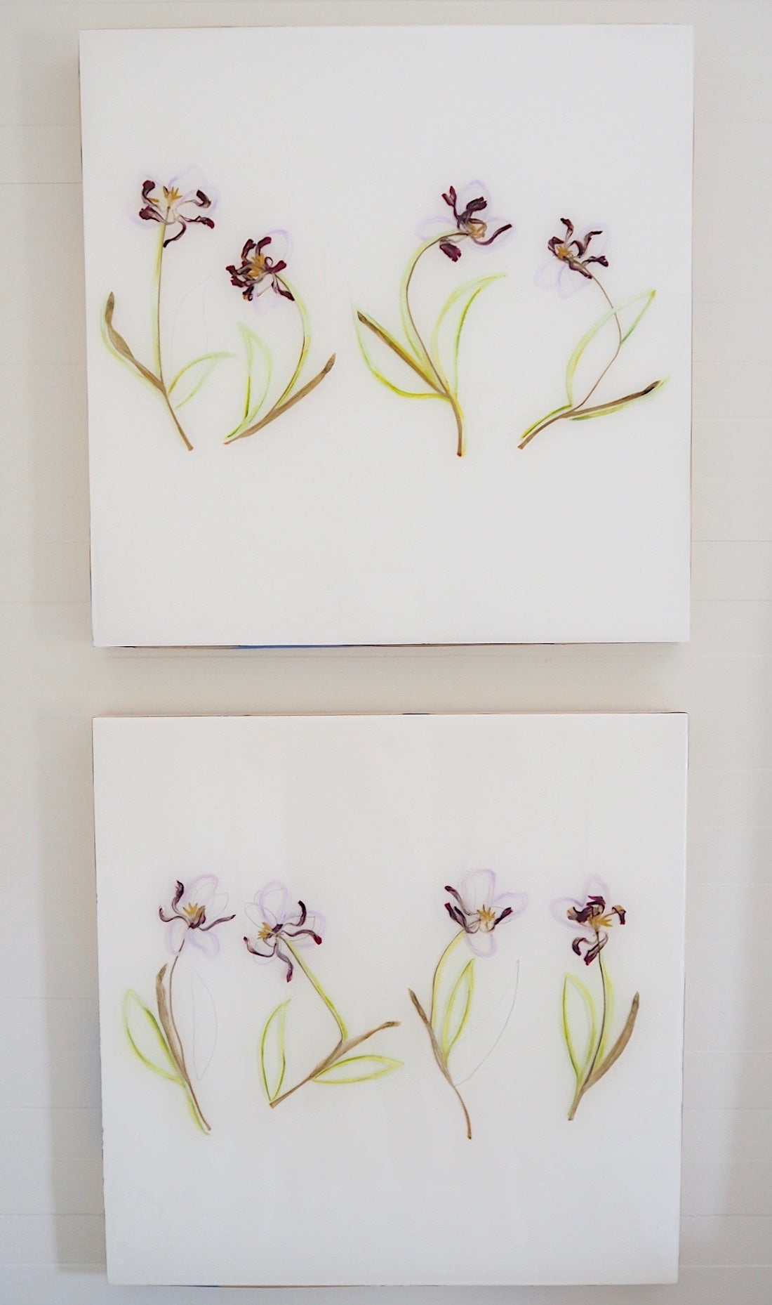 Purple Tulip Study I