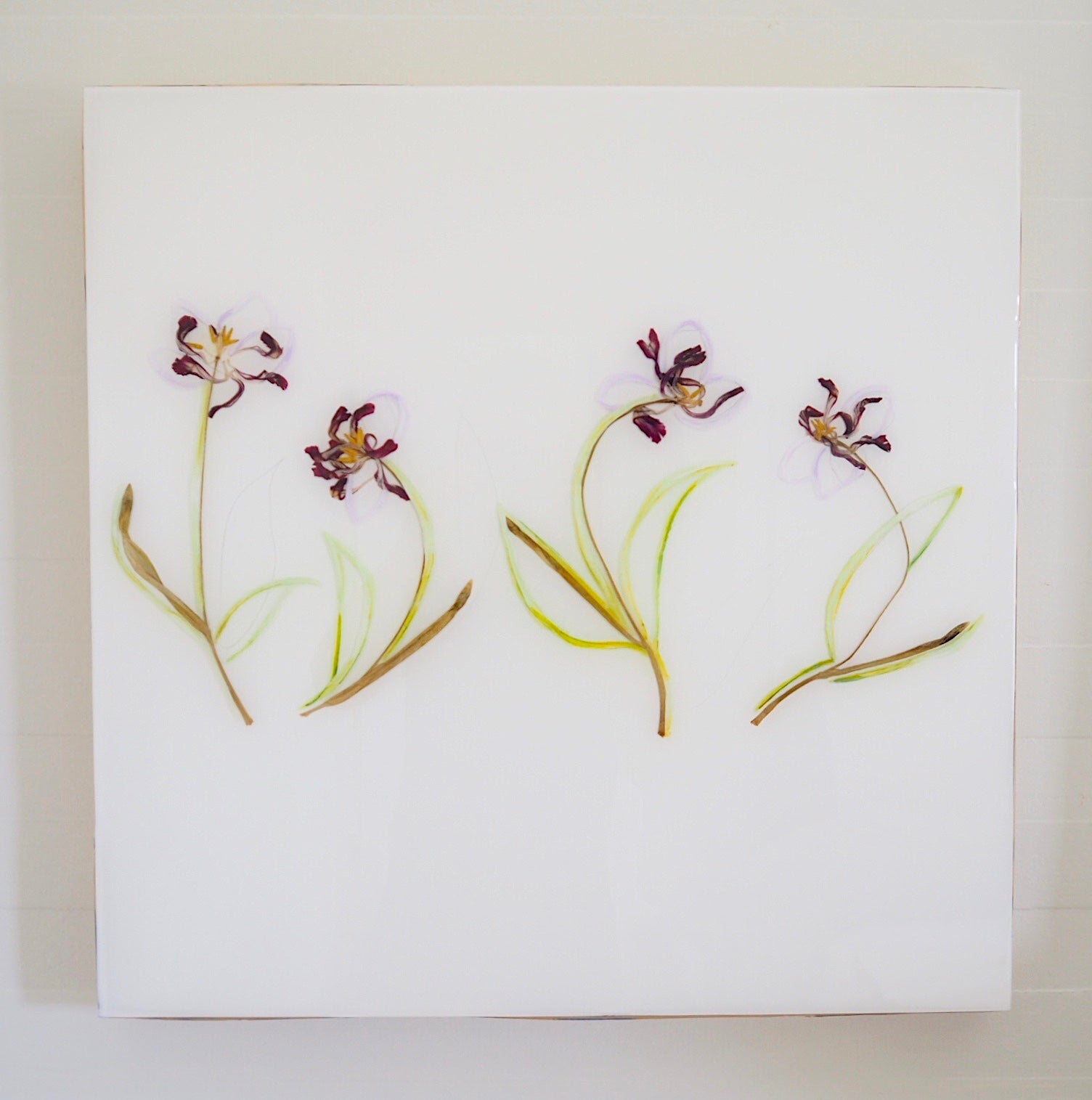 Purple Tulip Study I